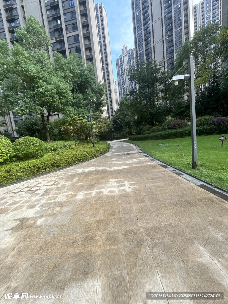 城市中整洁的林荫步道