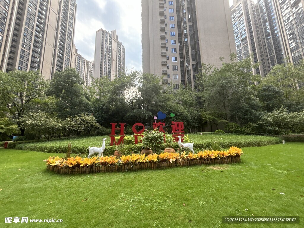 城市中草坪上的多彩花坛