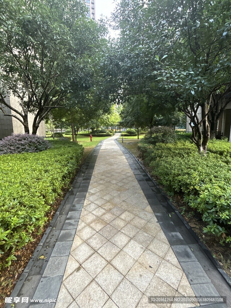 林间幽静步道
