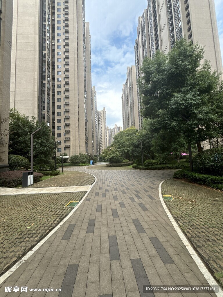 城市宽阔整洁的林荫道路