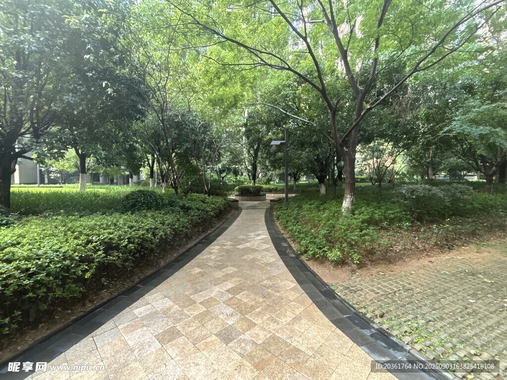 林间幽静步道