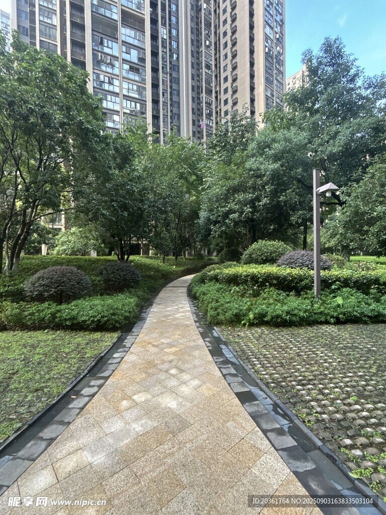 小区内的优美林荫小径