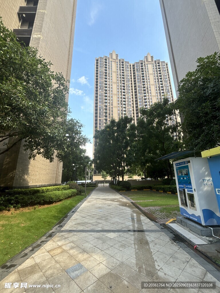 小区内的整洁道路与高楼