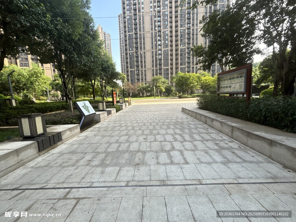 城市中静谧的林荫步道