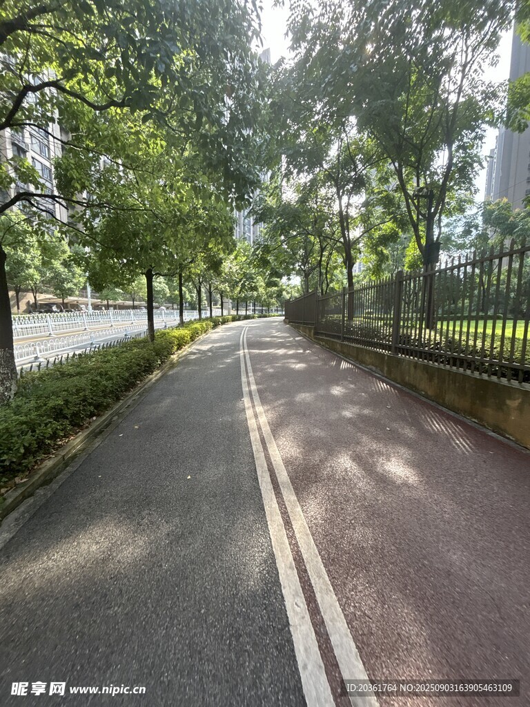 林荫下的静谧骑行小道