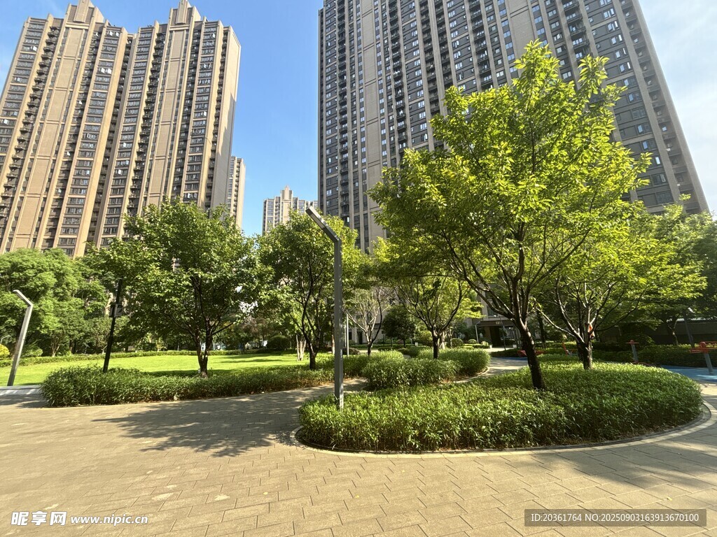 城市中的绿意公园景观