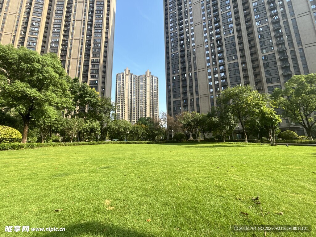 城市中的绿地与高楼景观
