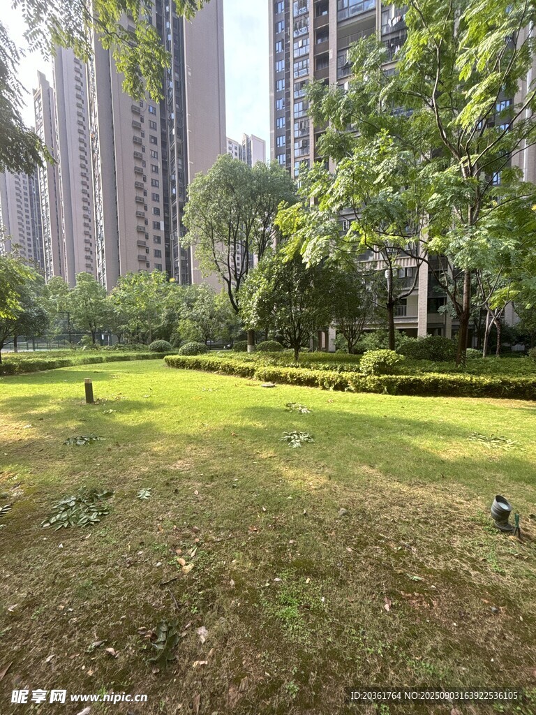城市中静谧的绿地景观