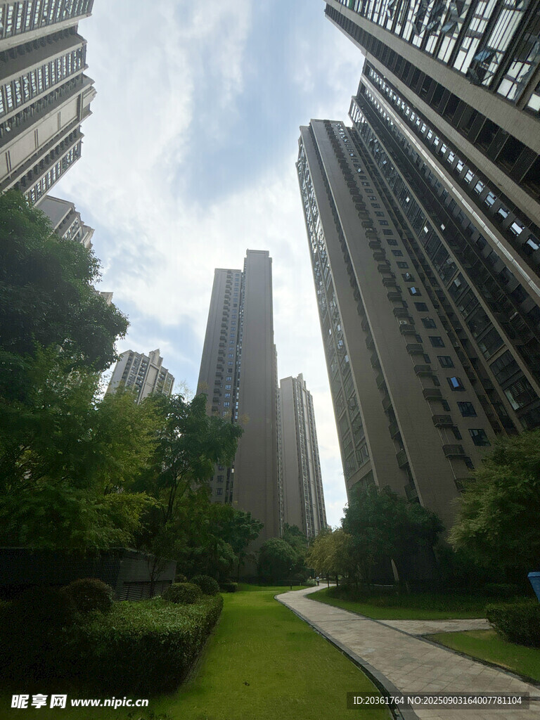城市高楼间的绿意小道