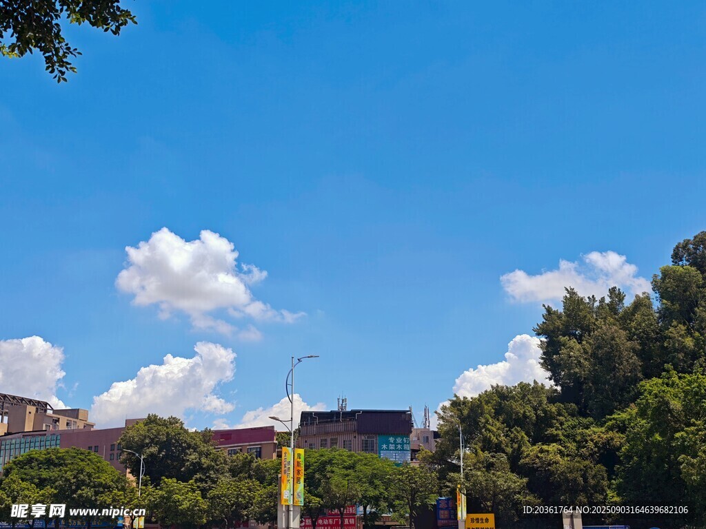 晴朗蓝天与绿树建筑