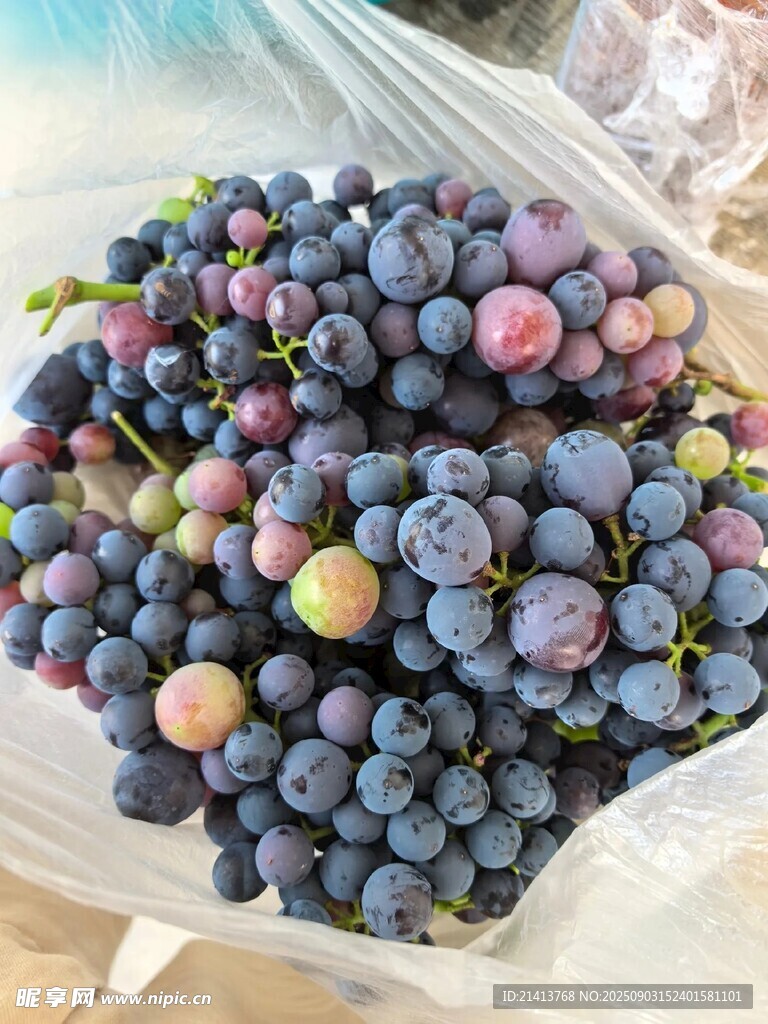 新鲜饱满的紫葡萄