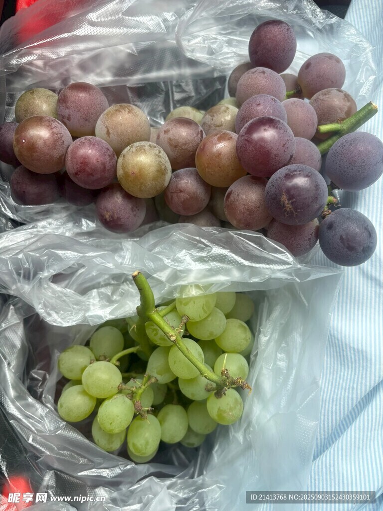 袋装紫绿葡萄特写