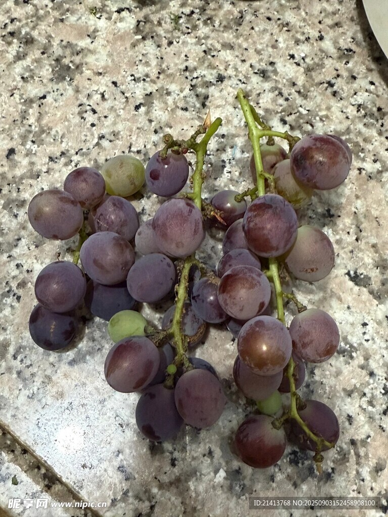 紫葡萄串置于石质表面