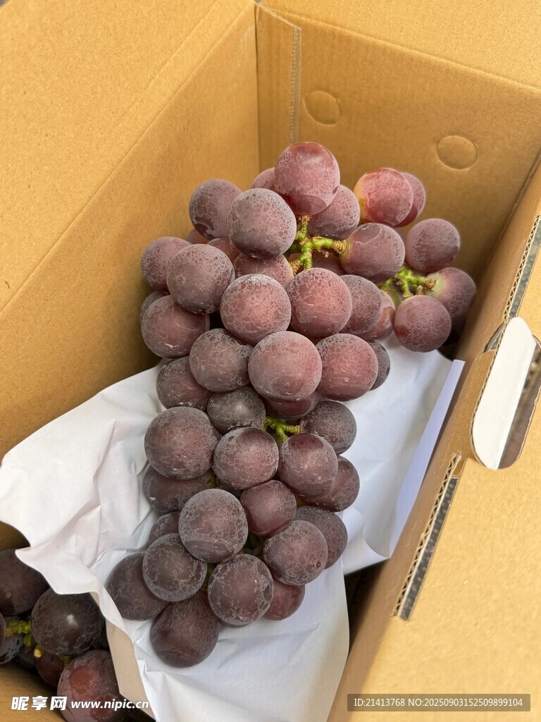 纸箱中的紫葡萄
