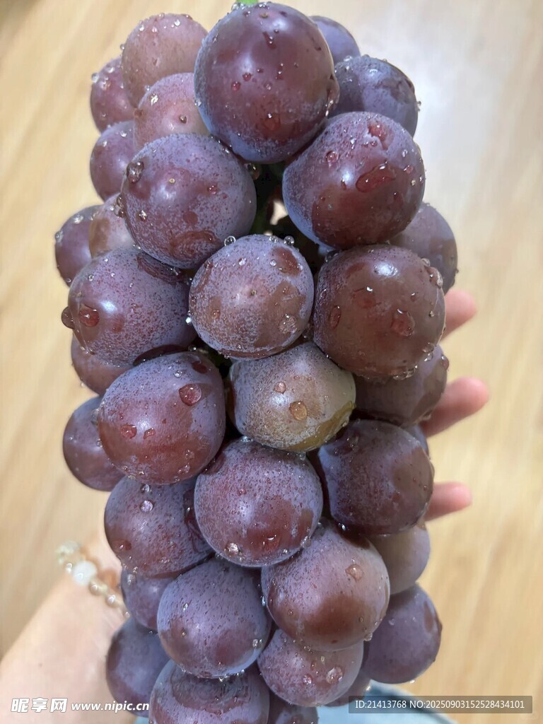 一串紫葡萄特写