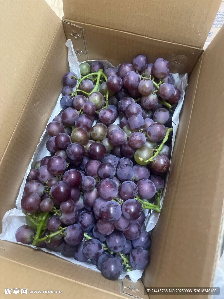 纸箱中的紫葡萄