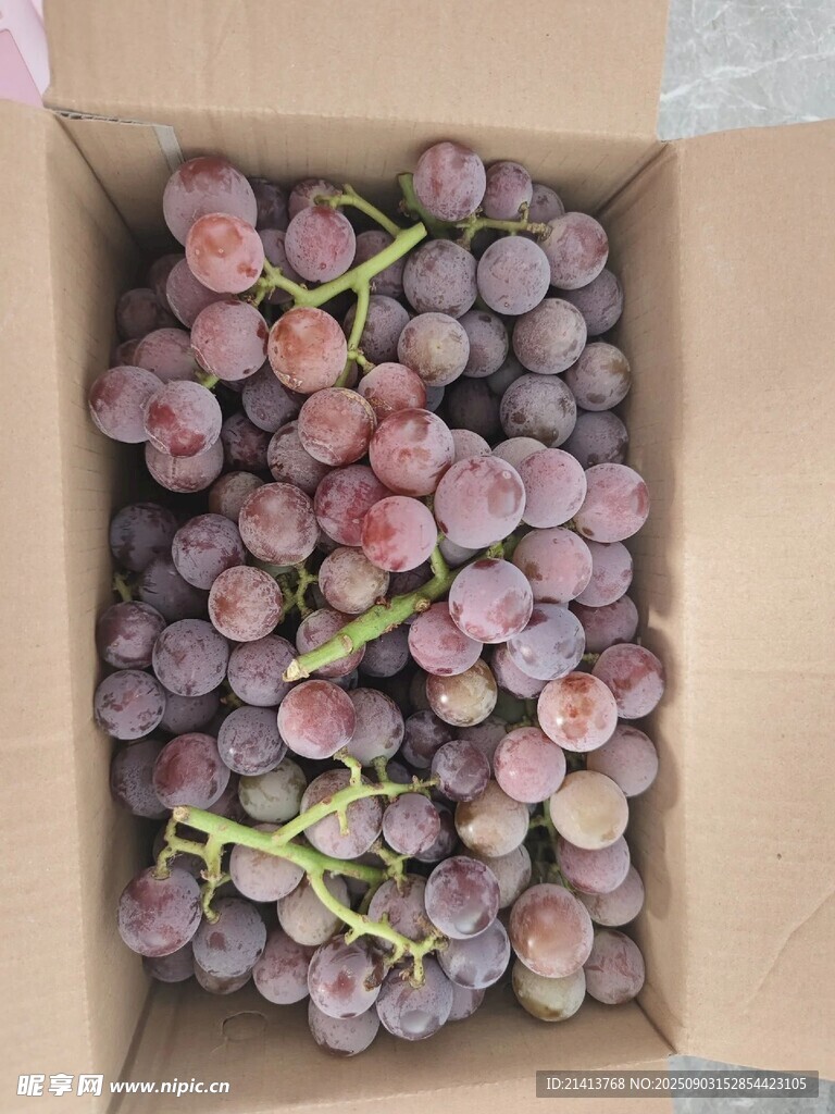 纸箱中的紫葡萄