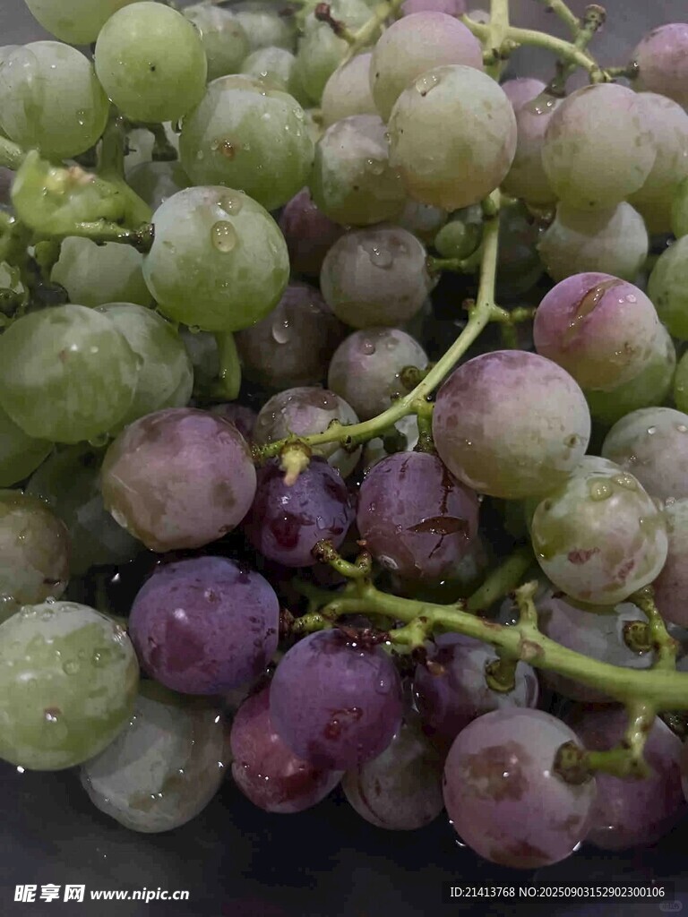 紫绿相间的新鲜葡萄