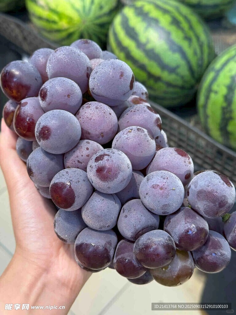 手捧紫葡萄与西瓜