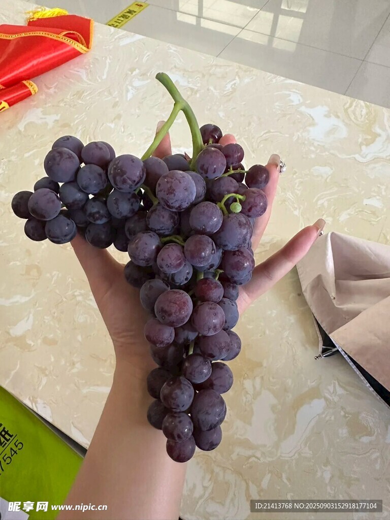 手捧紫葡萄