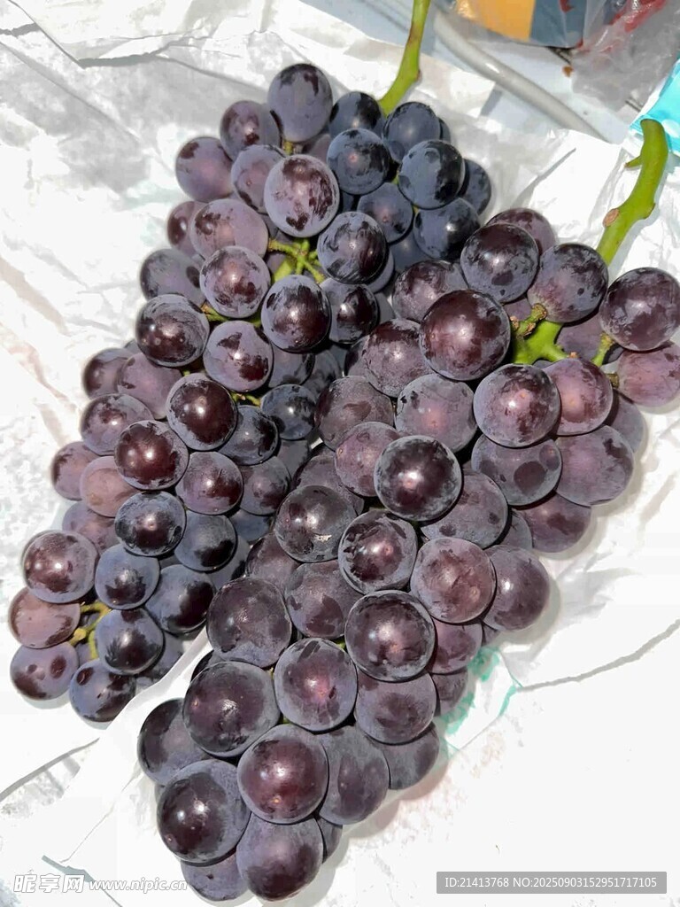紫葡萄串特写