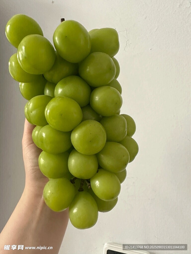 手捧青绿葡萄