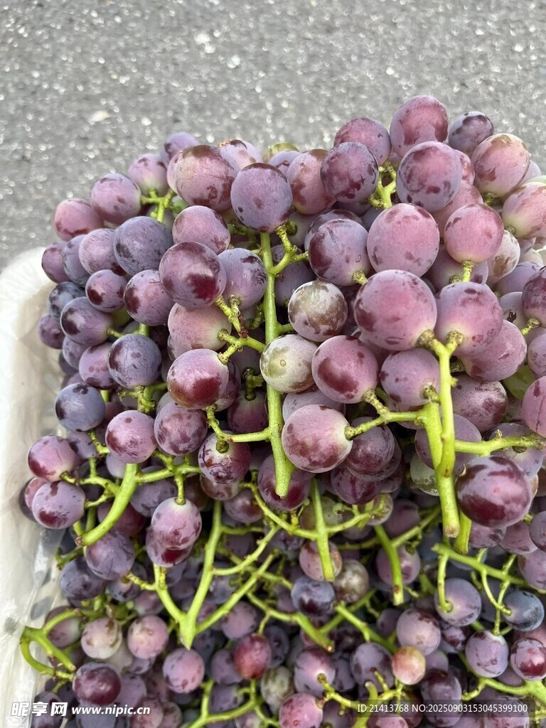 新鲜紫葡萄  饱满诱人