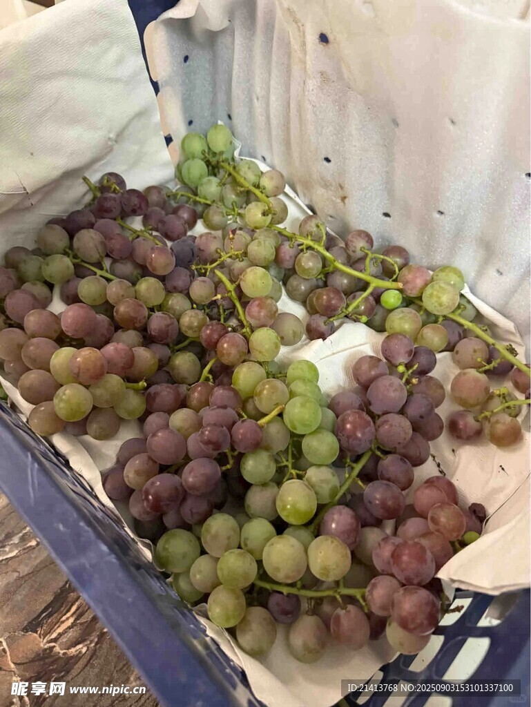 新鲜葡萄待售