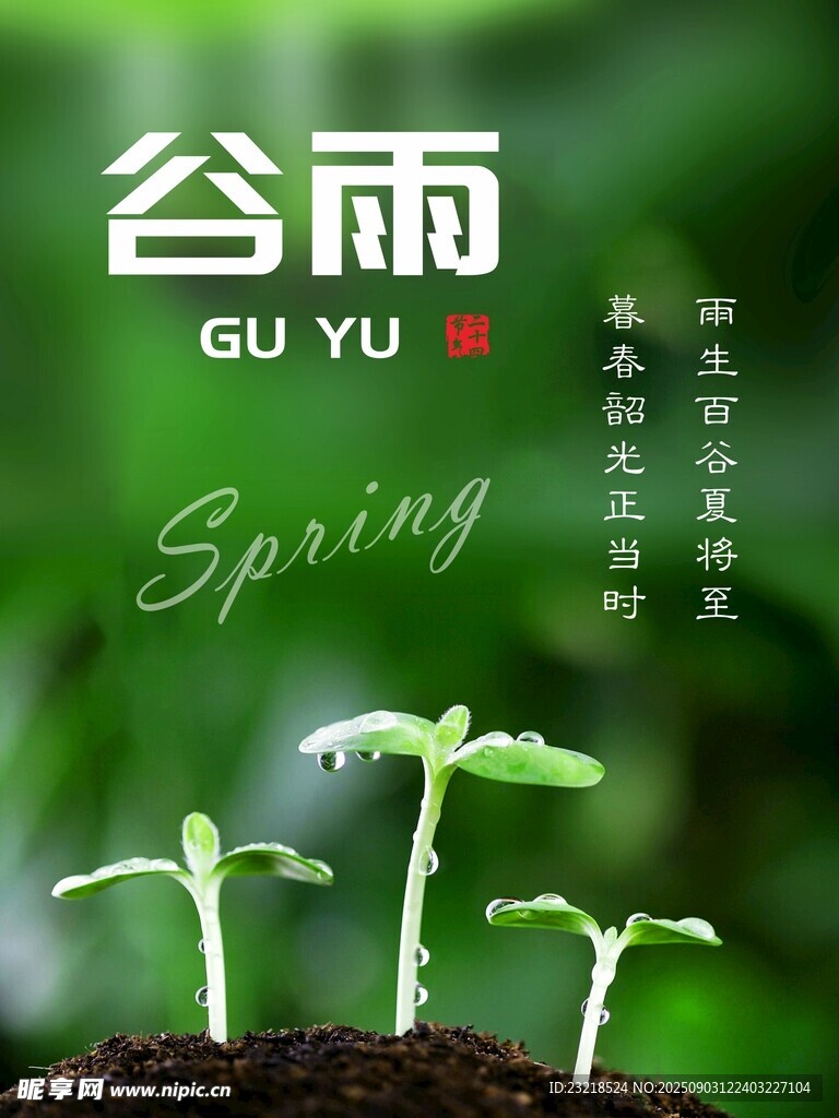 谷雨