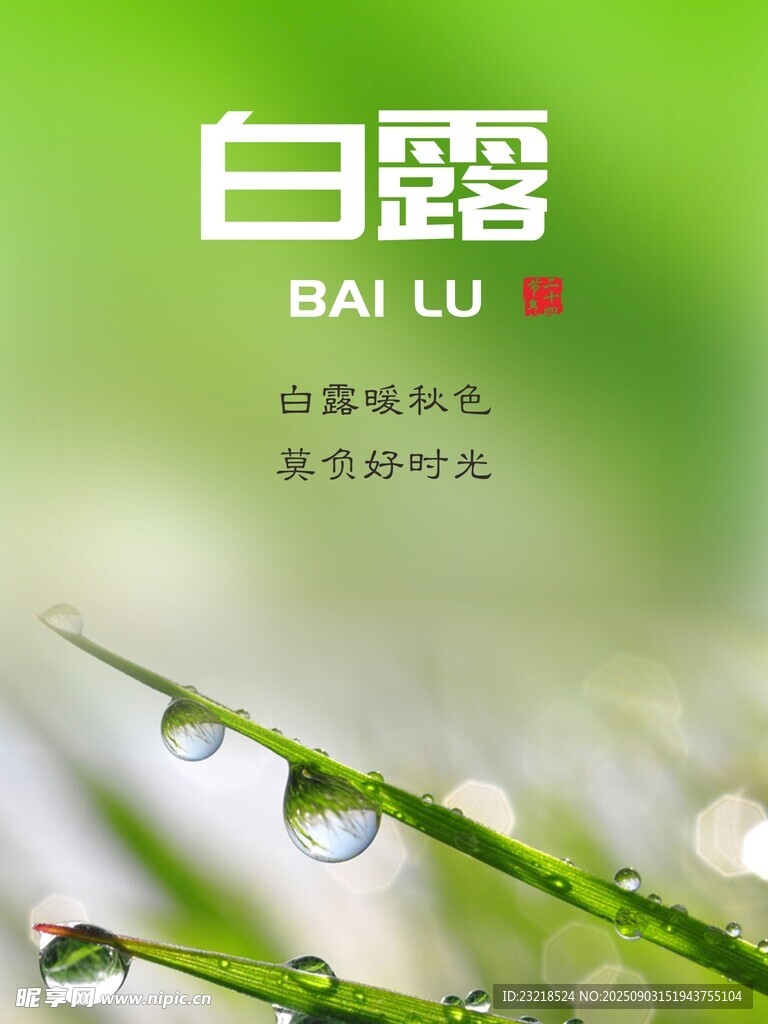 白露