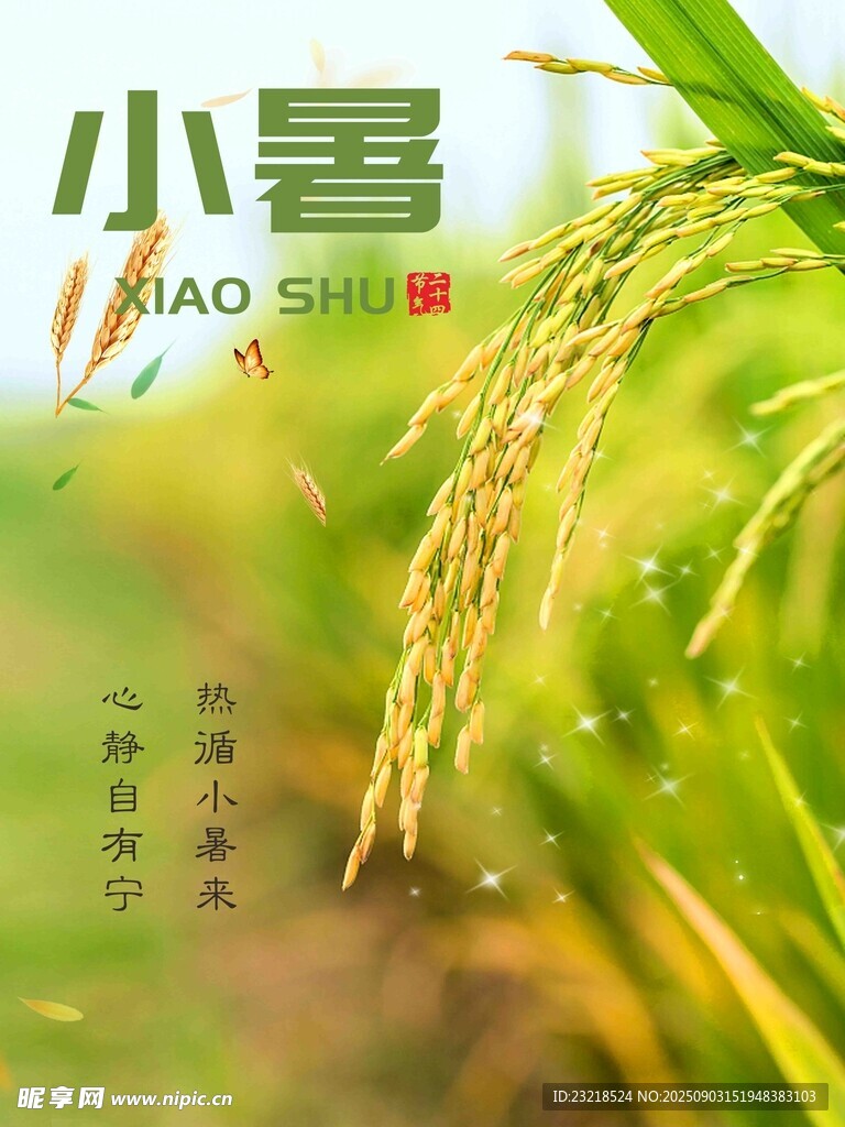 小暑