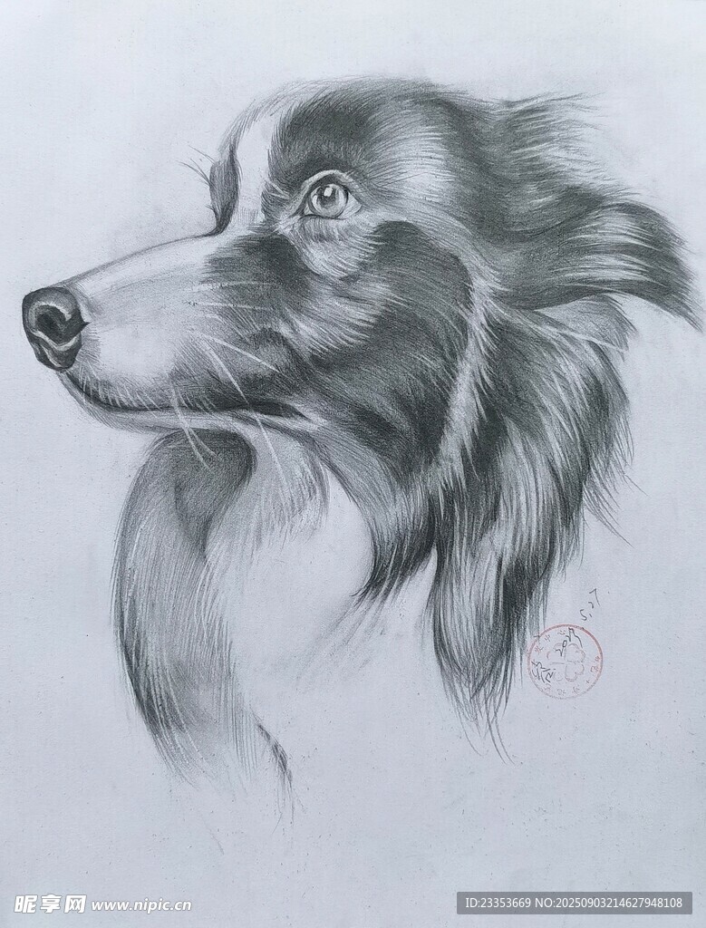 动物素描