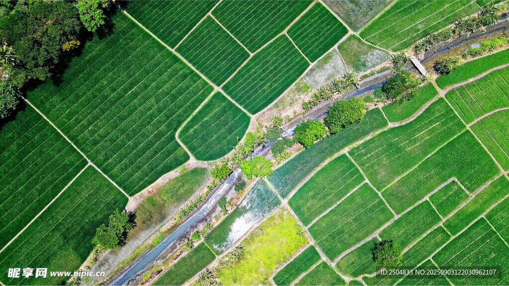 航拍田园风光中的蜿蜒道路