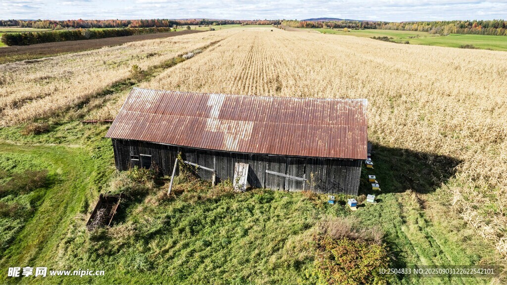 荒野中的破旧小屋