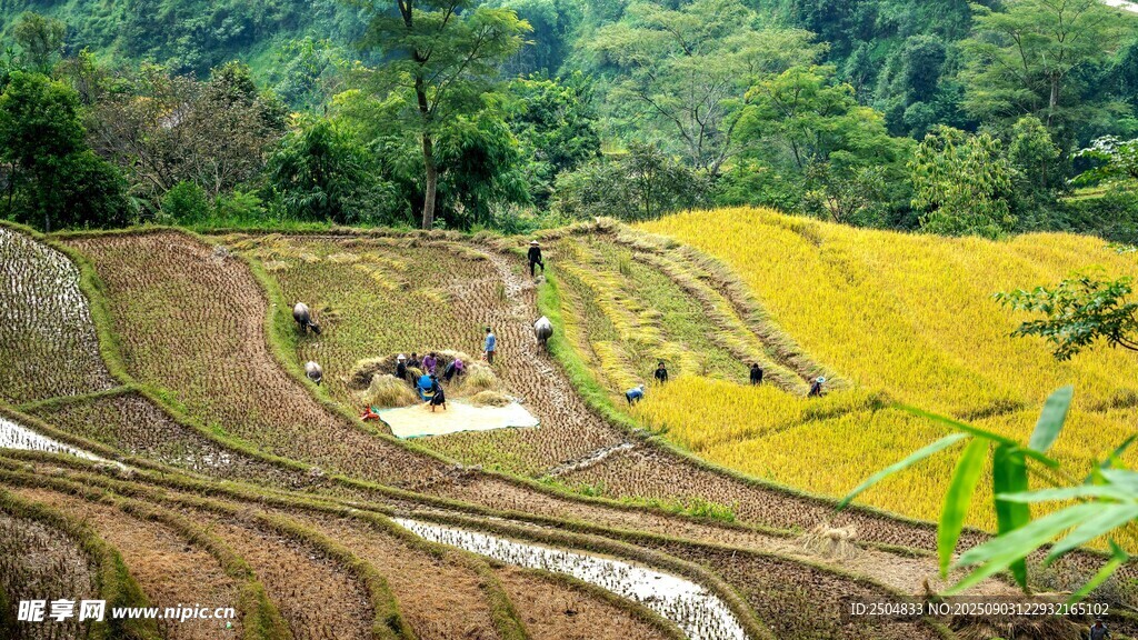 山间梯田美景