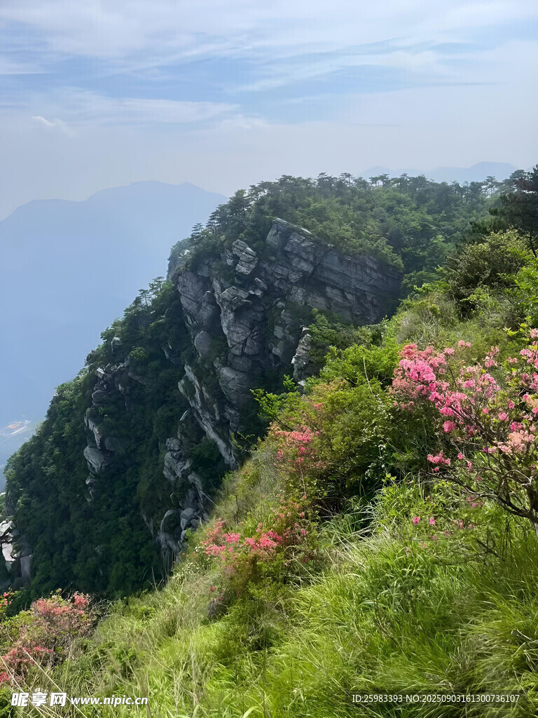 山间繁花