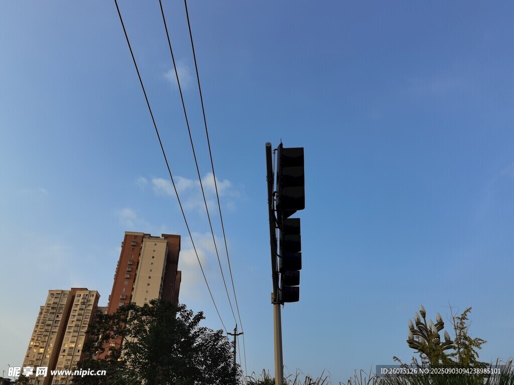 城市街景中的交通信号灯