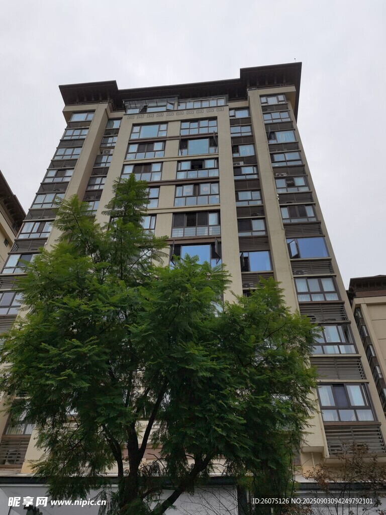 高层住宅楼旁绿树点缀