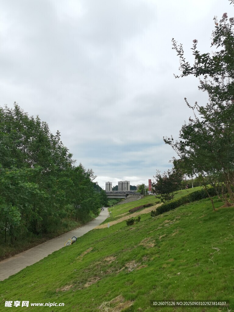 郊外绿意盎然的小路景色