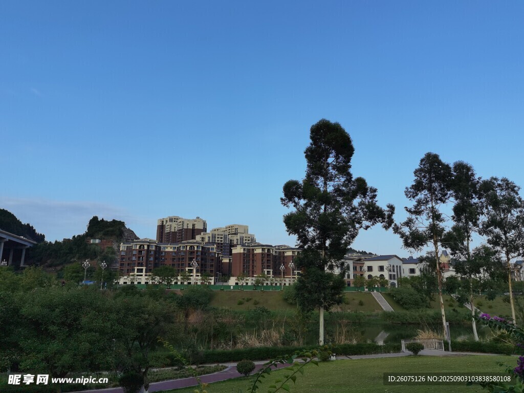 户外绿意盎然的自然景致