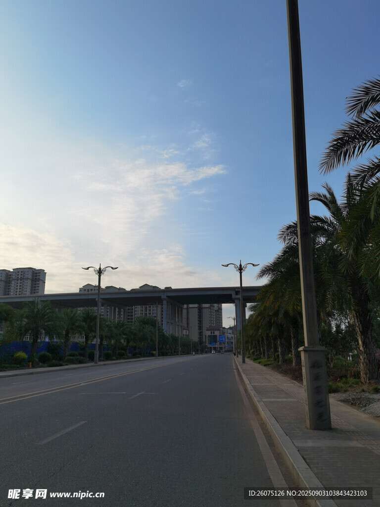城市街道旁的绿植与建筑