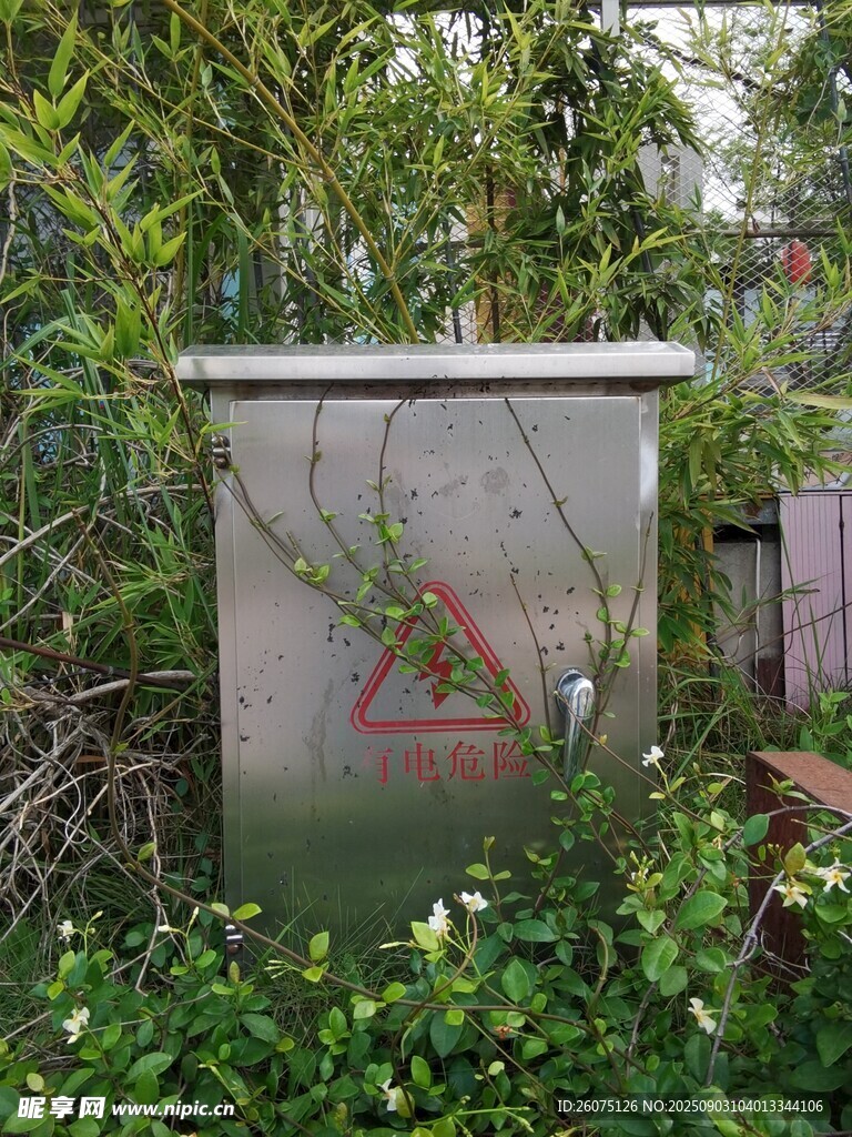 户外生锈配电箱被绿植环绕