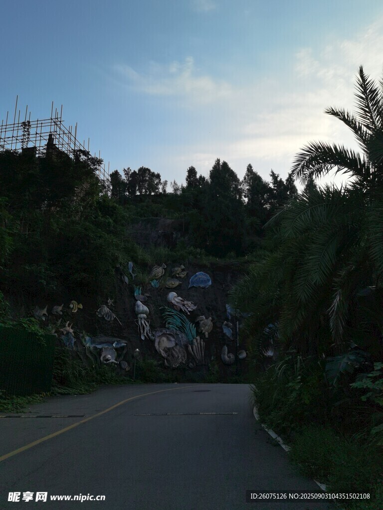 黄昏下的林间公路