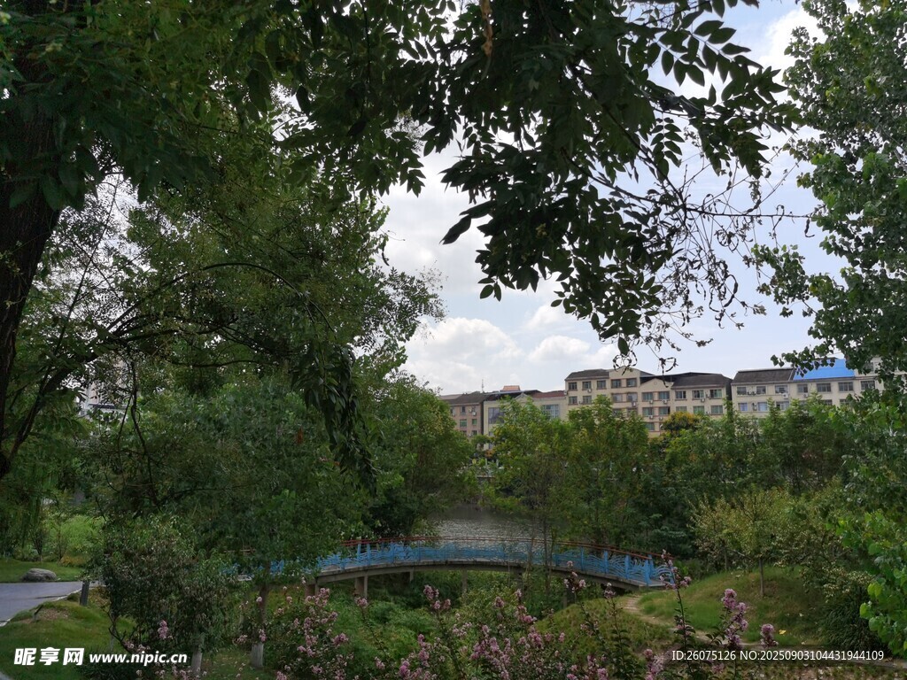 绿意盎然的户外风景