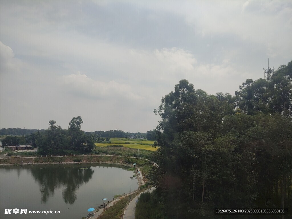 乡村河畔风景