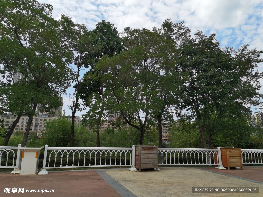 户外绿树环绕的休闲场地