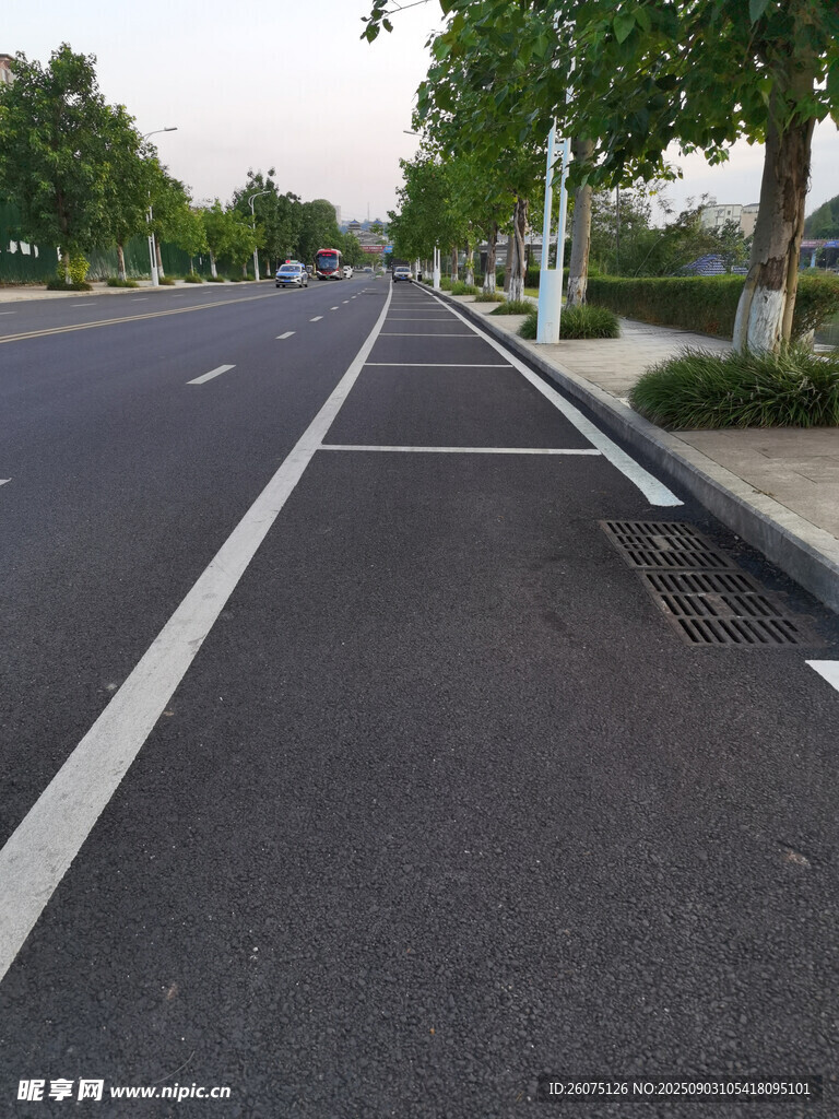 柏油马路边停车位景象