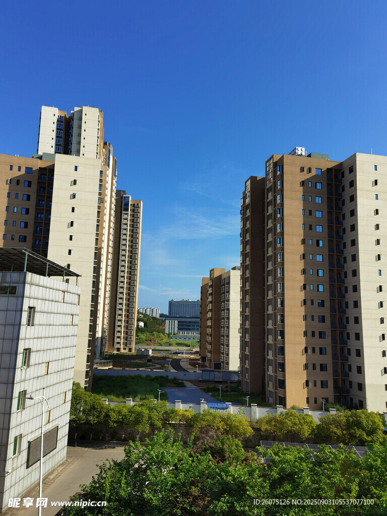 城市高楼与绿植景观