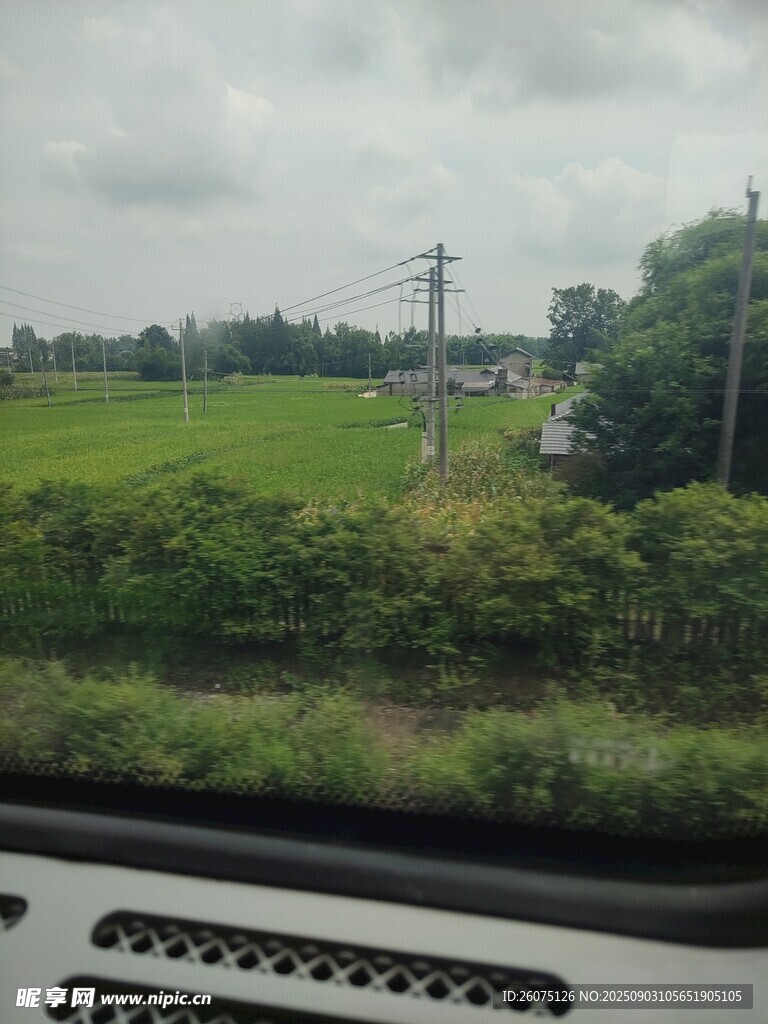 车窗外的绿野风光