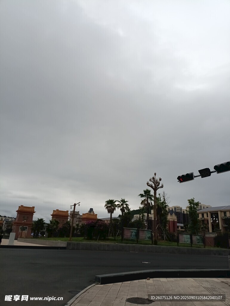 阴天城市道路与棕榈树景观